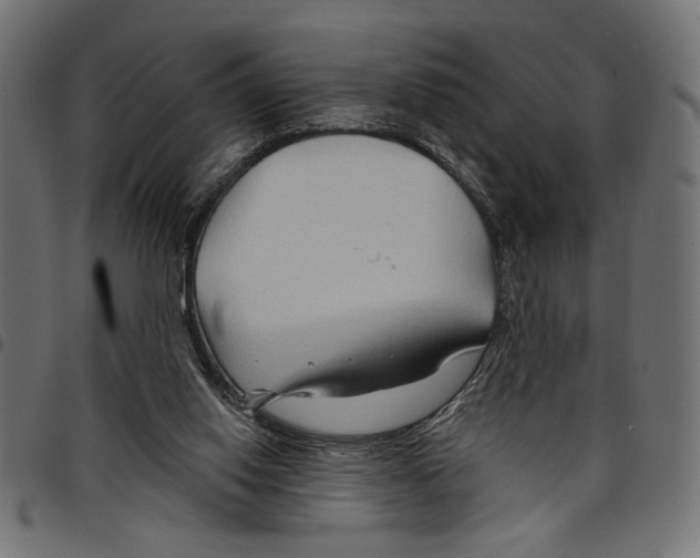 X0000097650062200803280938