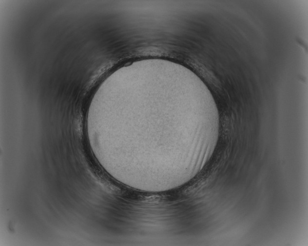 X0000097650064200803280938