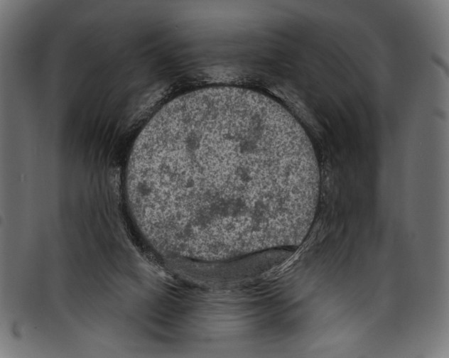 X0000097650066200803280938