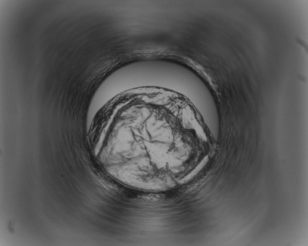 X0000097650069200803280938