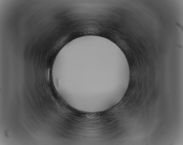 X0000097650070200803280938