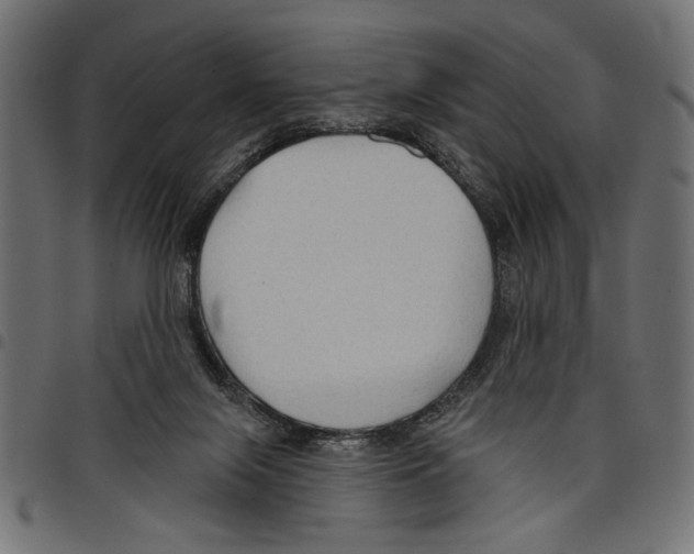 X0000097650071200803280938