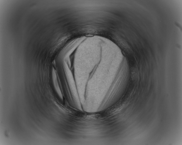 X0000097650072200803280938