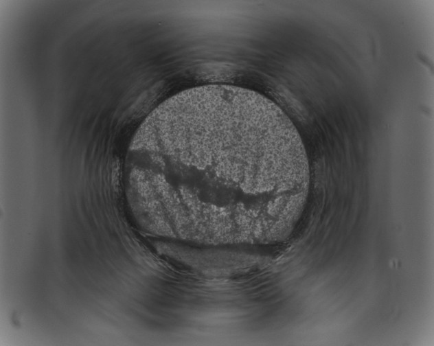 X0000097650073200803280938