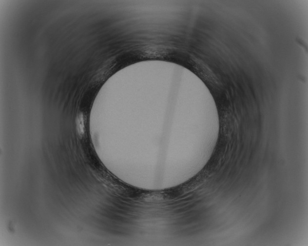 X0000097650075200803280938