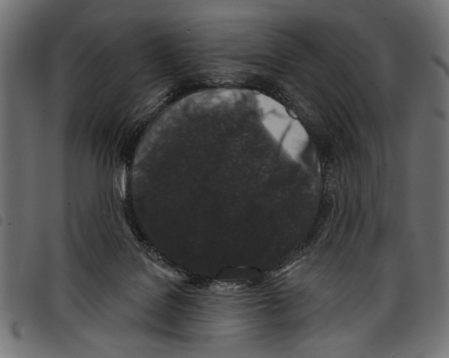 X0000097650076200803280938