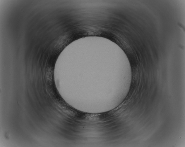 X0000097650078200803280938