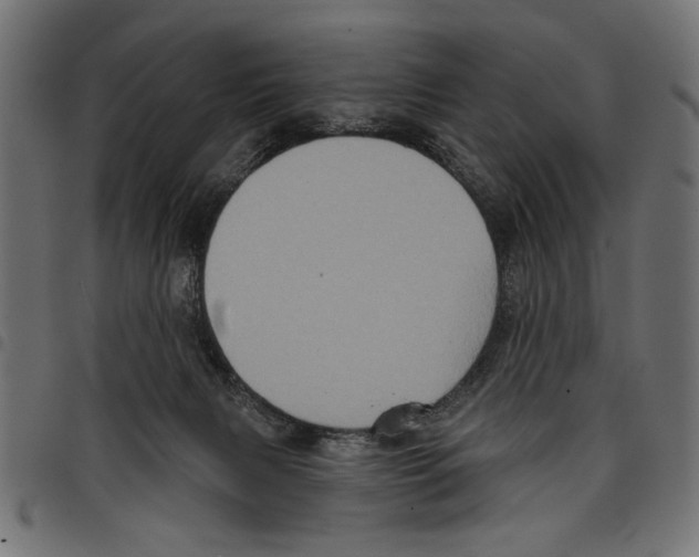 X0000097650079200803280938