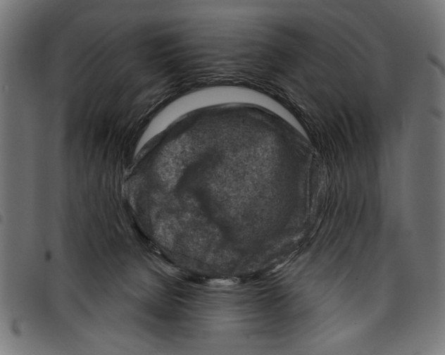 X0000097650080200803280938