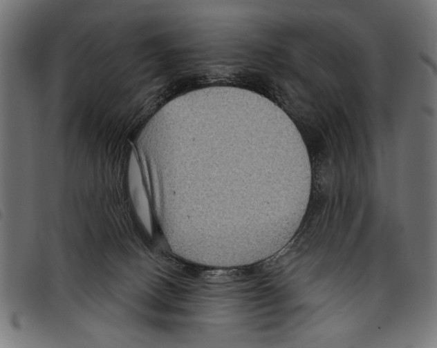 X0000097650082200803280938