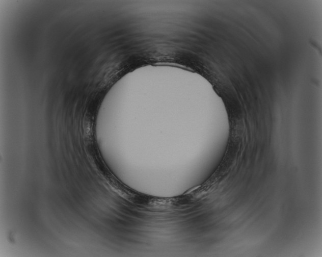 X0000097650084200803280938