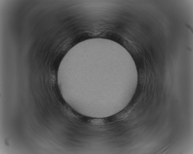 X0000097650085200803280938