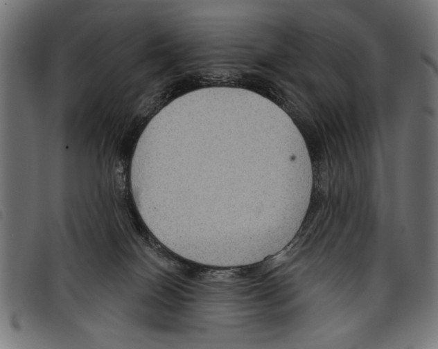 X0000097650086200803280938