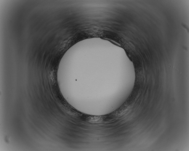 X0000097650088200803280938