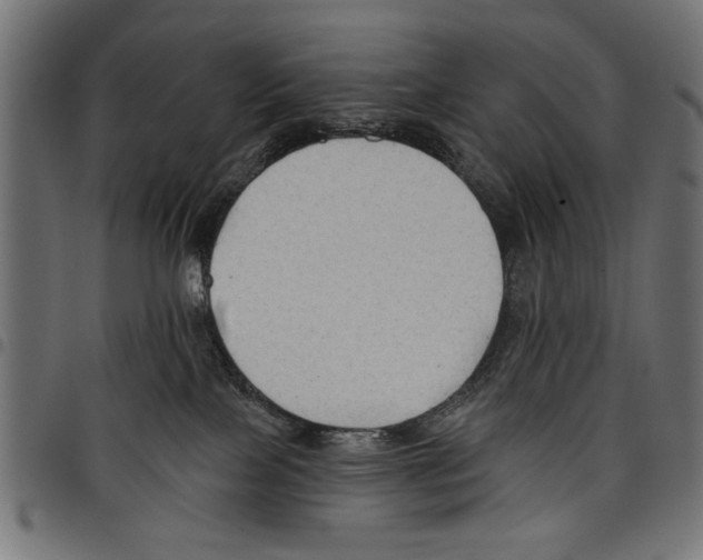 X0000097650089200803280938