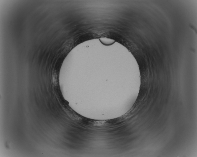 X0000097650090200803280938