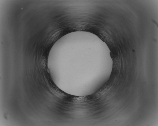 X0000097650092200803280938