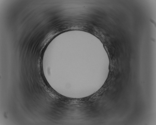 X0000097650098200803280938