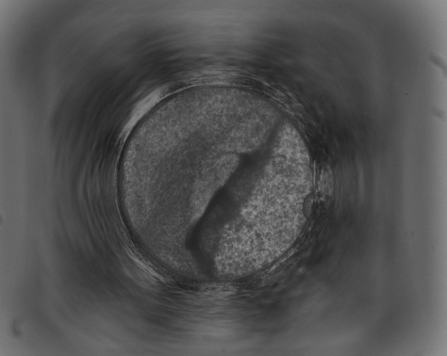 X0000097650099200803280938