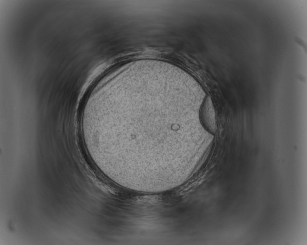 X0000097650102200803280938