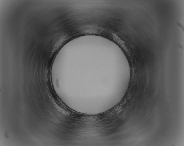 X0000097650106200803280938