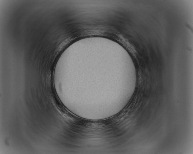 X0000097650107200803280938