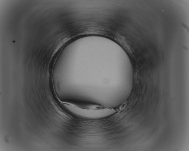 X0000097650108200803280938