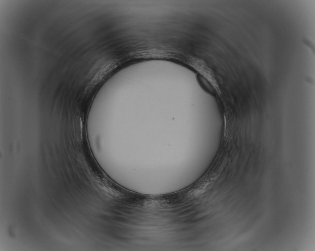 X0000097650109200803280938