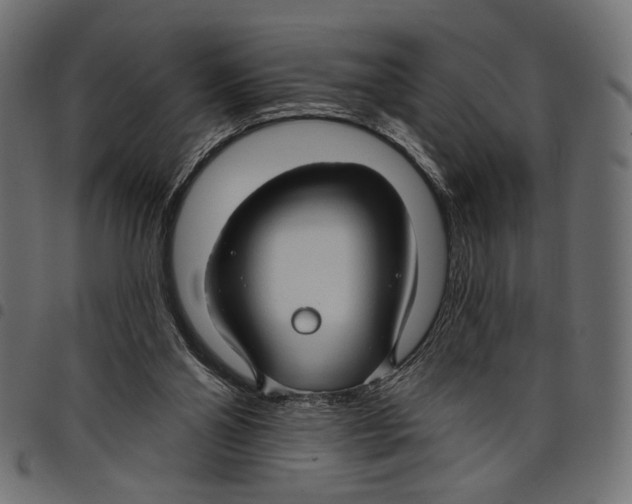 X0000097650110200803280938