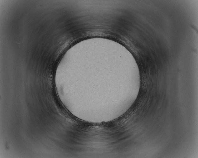 X0000097650111200803280938