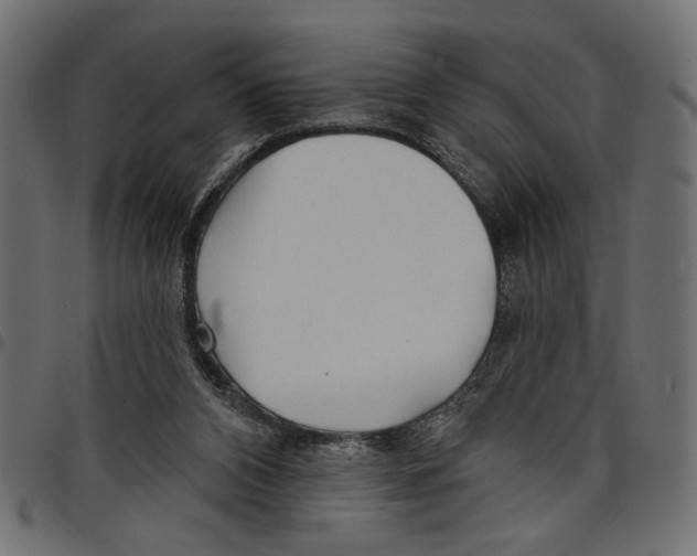 X0000097650112200803280938