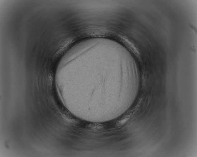 X0000097650113200803280938