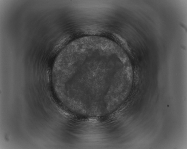 X0000097650114200803280938