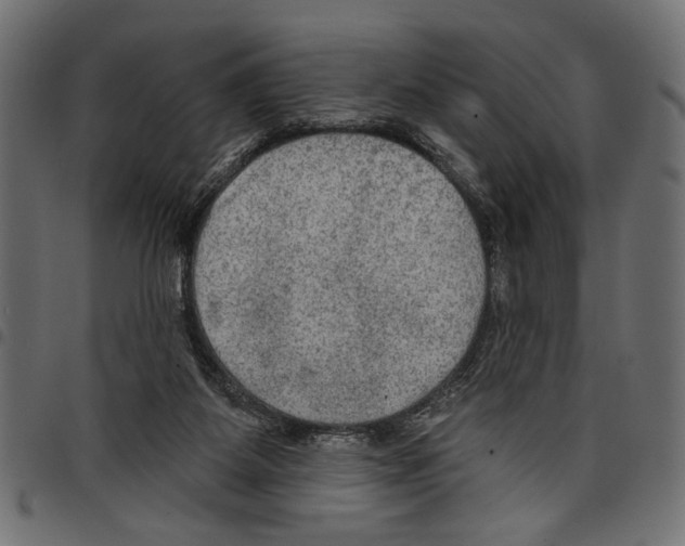 X0000097650115200803280938