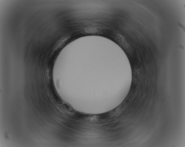 X0000097650116200803280938