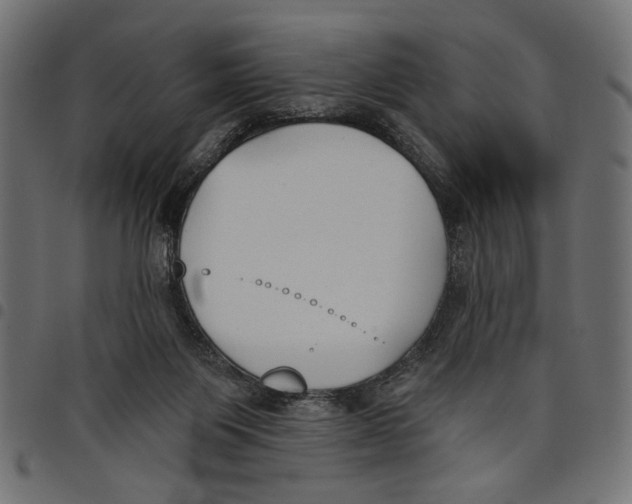 X0000097650119200803280938