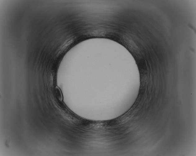 X0000097650120200803280938