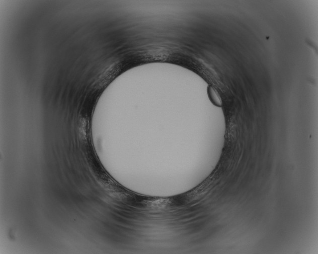 X0000097650122200803280938