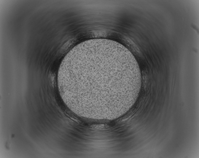 X0000097650123200803280937