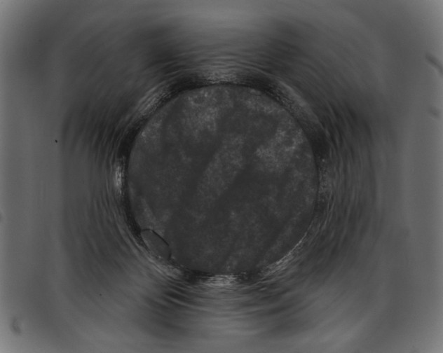 X0000097650124200803280937