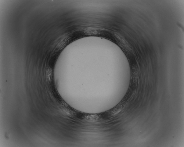 X0000097650125200803280937