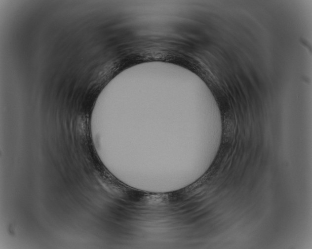 X0000097650126200803280937