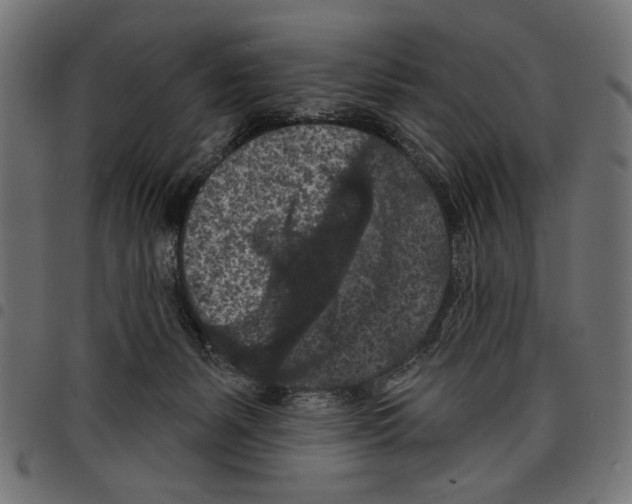 X0000097650127200803280937