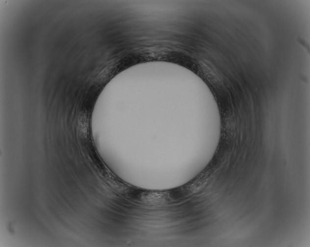 X0000097650129200803280937