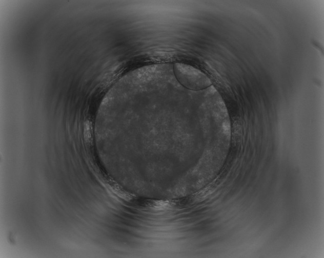 X0000097650130200803280937