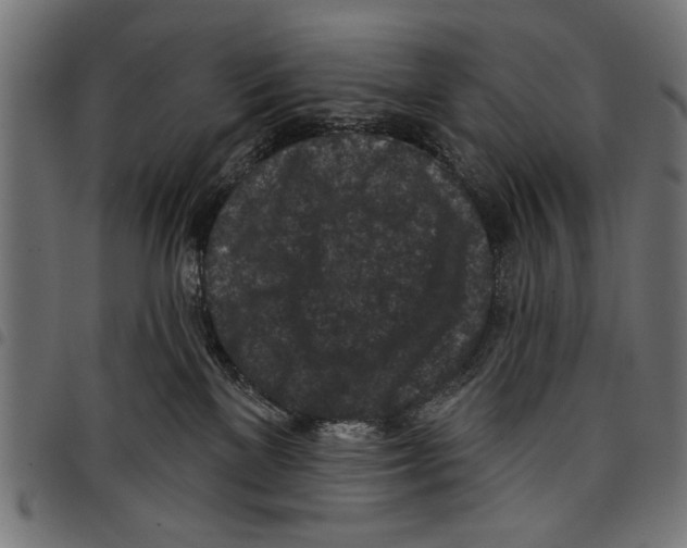 X0000097650137200803280937