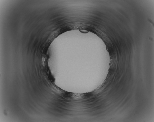 X0000097650142200803280937