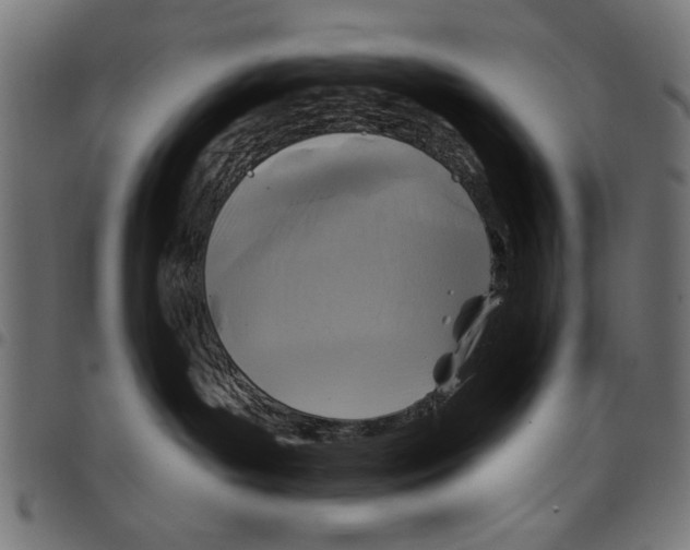 X0000097650143200803280937