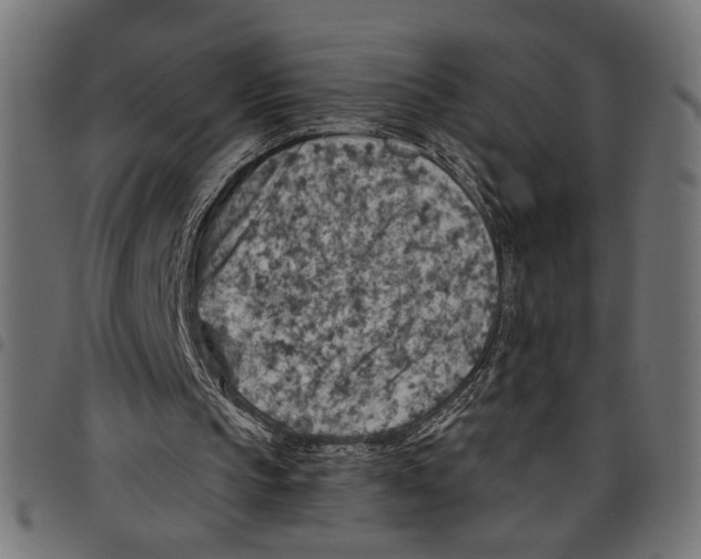 X0000097650145200803280937