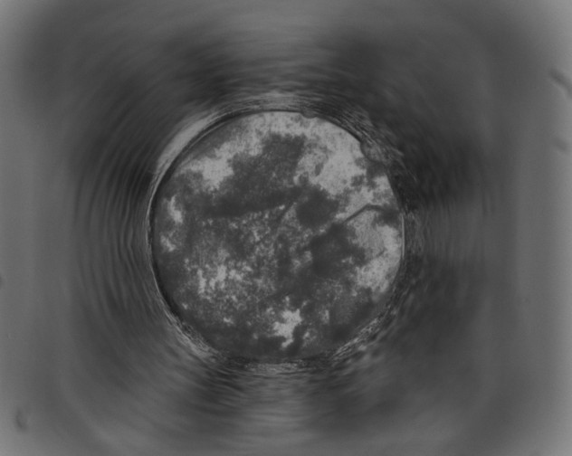 X0000097650147200803280937